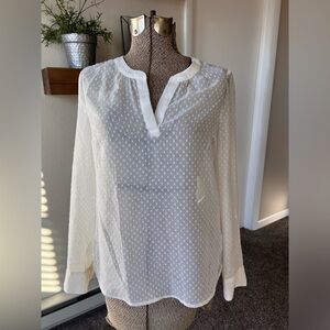 Sheer Express Blouse